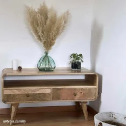 Made in Meubles Petit meuble TV en bois de manguier Maëva