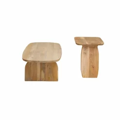 Made in Meubles Set de 2 tables basses en bois de manguier Tom