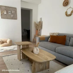 Made in Meubles Set de 2 tables basses en bois de manguier Tom