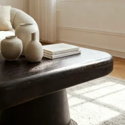 Made in Meubles Table basse en bois de manguier foncé Liriel